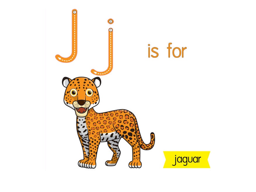 Alphabet Letter J with Jaguar Image Coloring Page for Kids 1 Alphabet Letter J with Jaguar Coloring Page