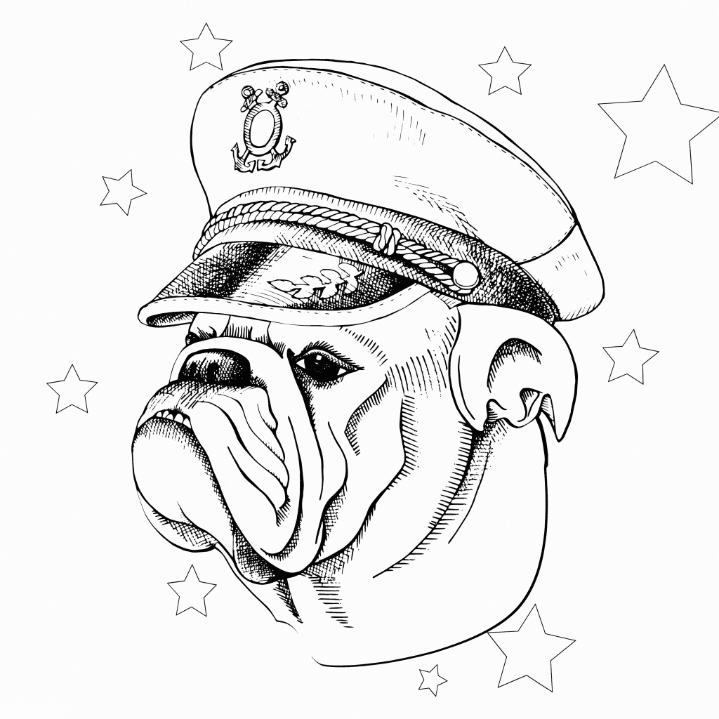 Bulldog Head Coloring Page 5 American Bulldog Coloring Pages