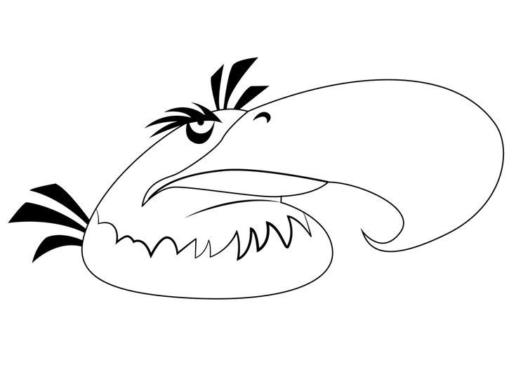 Soar High with The Mighty Eagle Angry Birds Coloring Page 1 Angry Birds Mighty Eagle Coloring Page