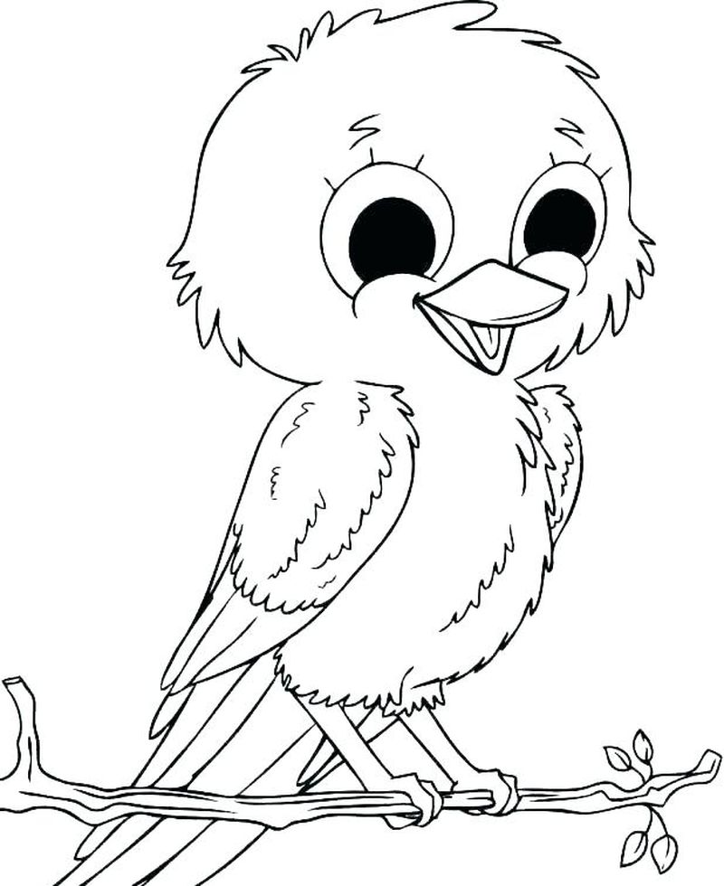 Baby Bird Coloring Pages