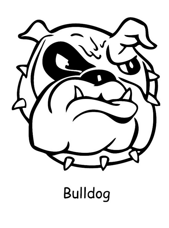 Bulldog Head Coloring Page 6 Baby Bulldog Coloring Pages