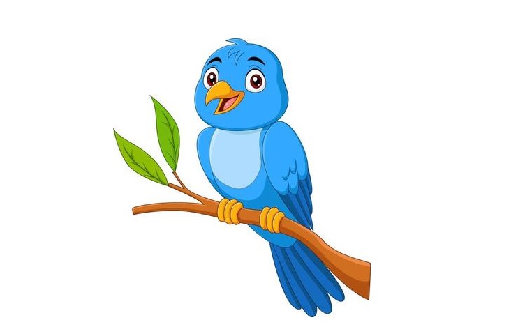 Bird Coloring Page for Kids