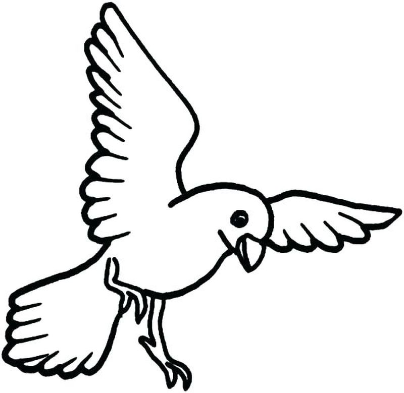 Bird Coloring Page for Kids 2 Bird Coloring Pages