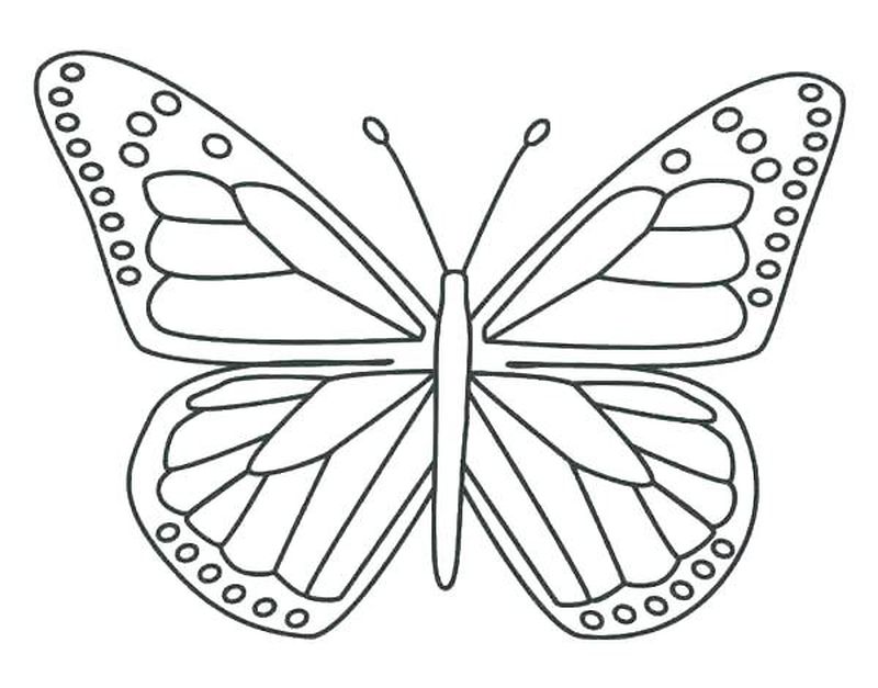 Beautiful Butterfly Coloring Page 1 Butterfly Coloring Pages For Kids