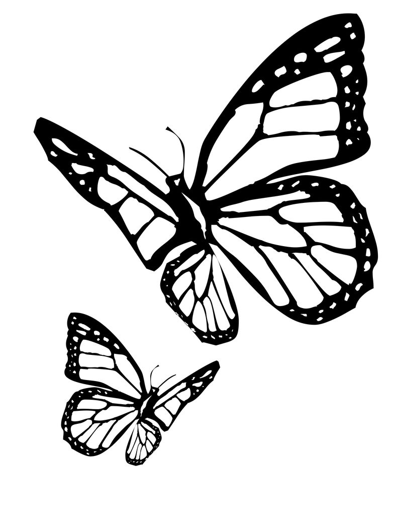 Beautiful Butterfly Coloring Page 3 Butterfly Coloring Pages Printables_