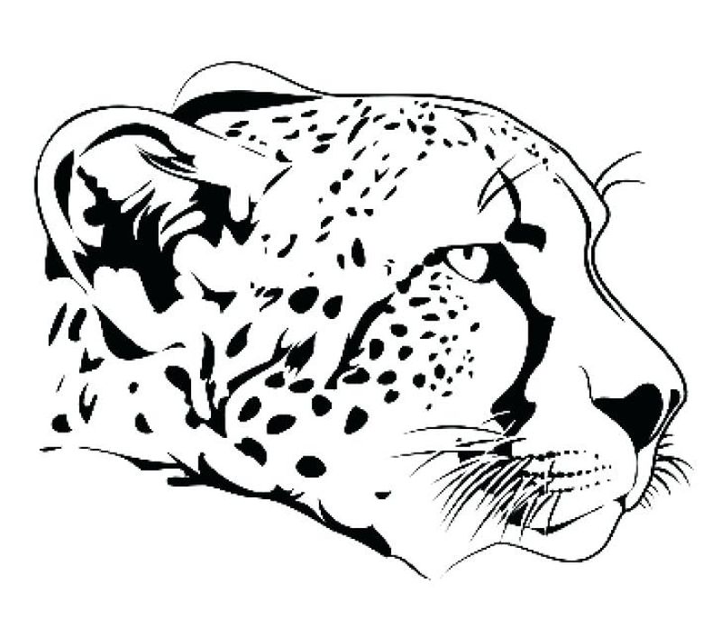 Cheetah Face Coloring Page 3 Cheetah Print Coloring Pages