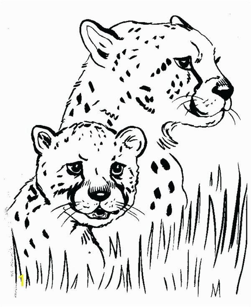 Cheetah Face Coloring Page 4 Cute Cheetah Coloring Pages