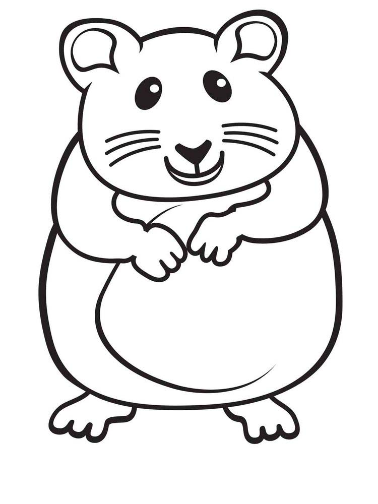 Cute Little Animals Hamster Coloring Page 2 Hamster Coloring Page