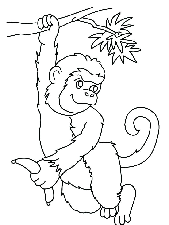 Monkey in The Tree Coloring Page 2 Monkey in The tree Coloring Pages
