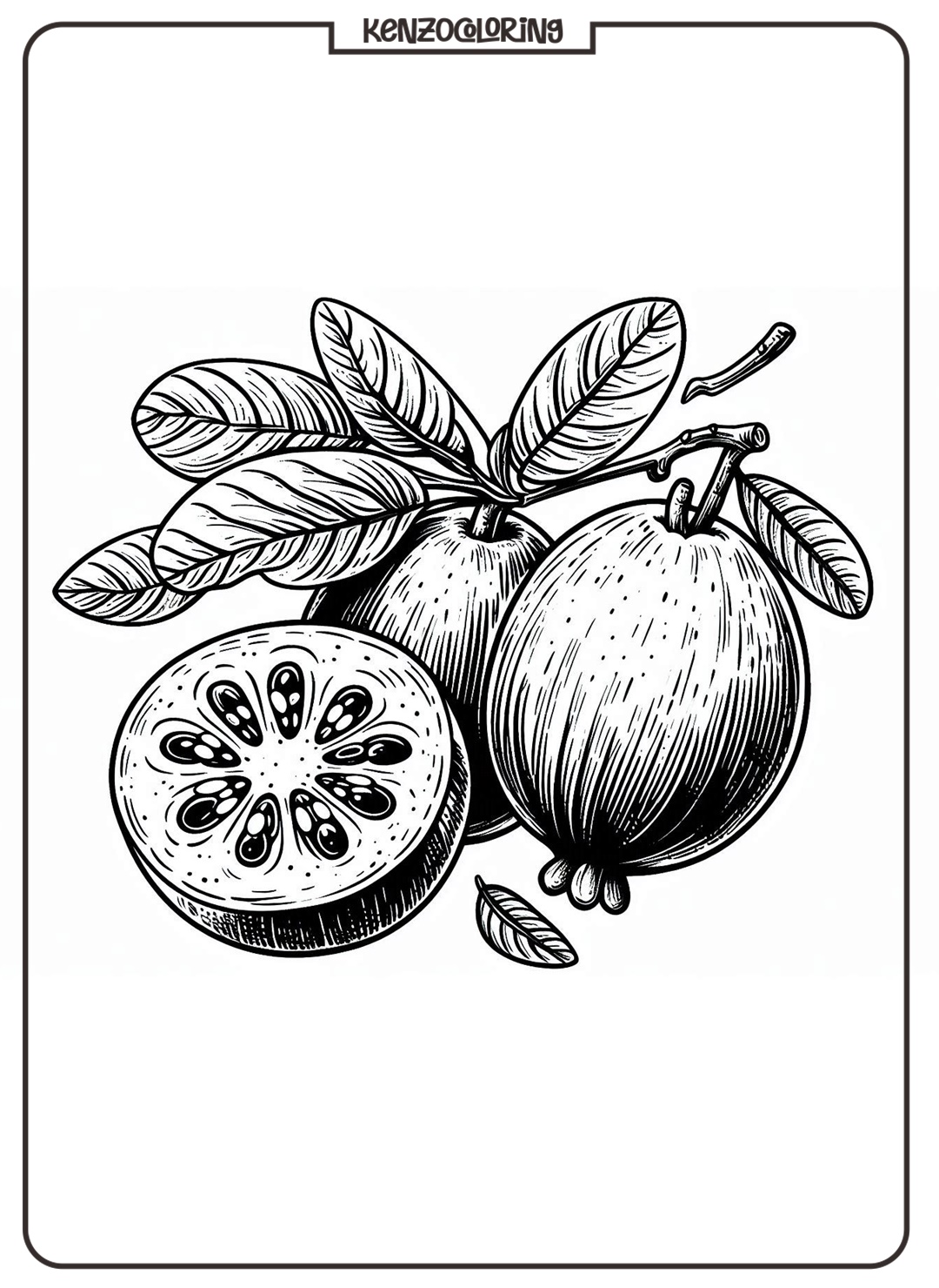 Unique Oval Shaped Fruit, Feijoa Coloring Page 3 Online Feijoa for coloring for kids