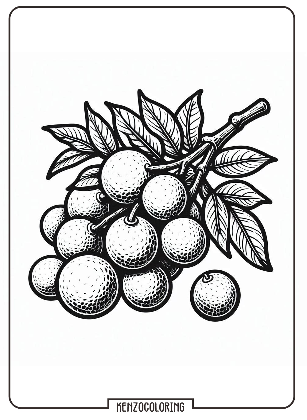 Sweet Little Tropical Fruit, Longan Coloring Page 3 Printable longan fruit coloring pages