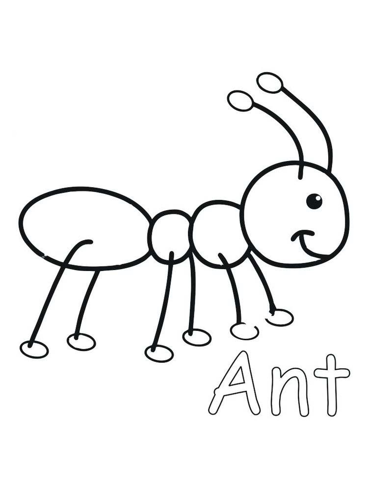 ant animal coloring pages for kids