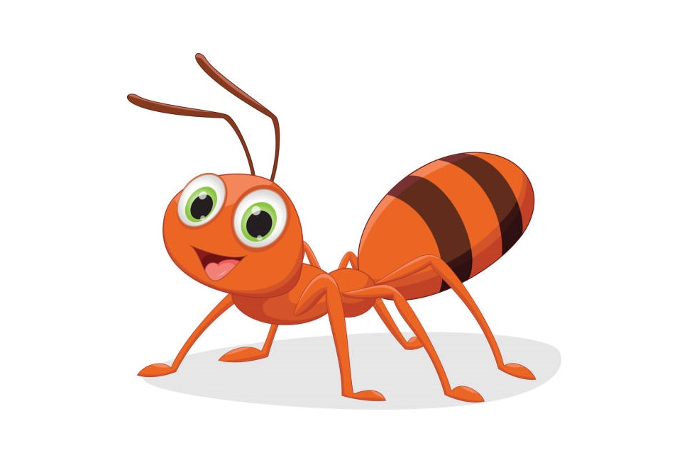 Happy Ant Cartoon