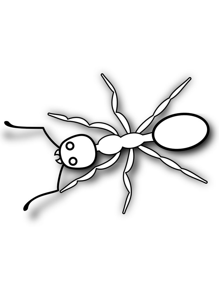ant coloring page