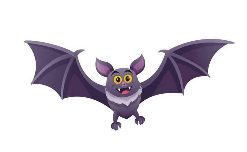 Nocturnal Animals Bat Coloring Page 1 bat coloring image