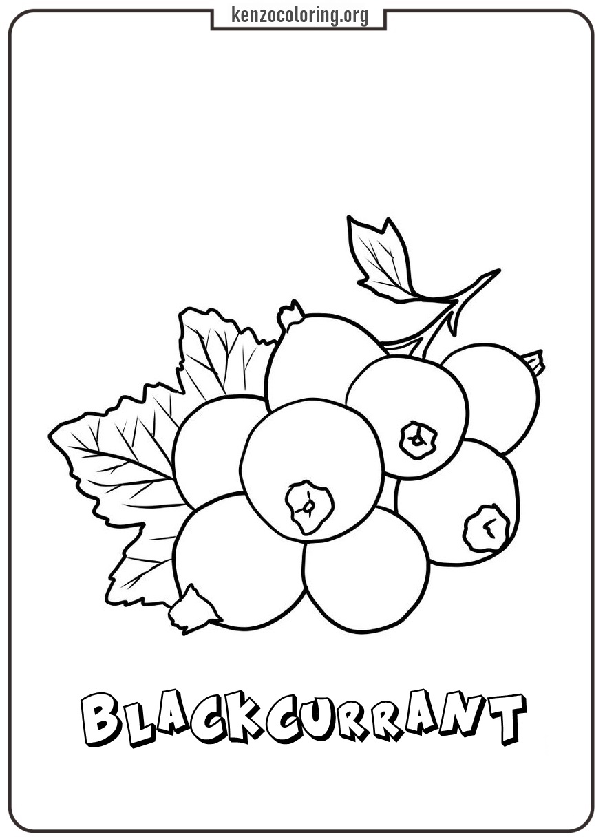 blackcurrant coloring page - kenzocoloring