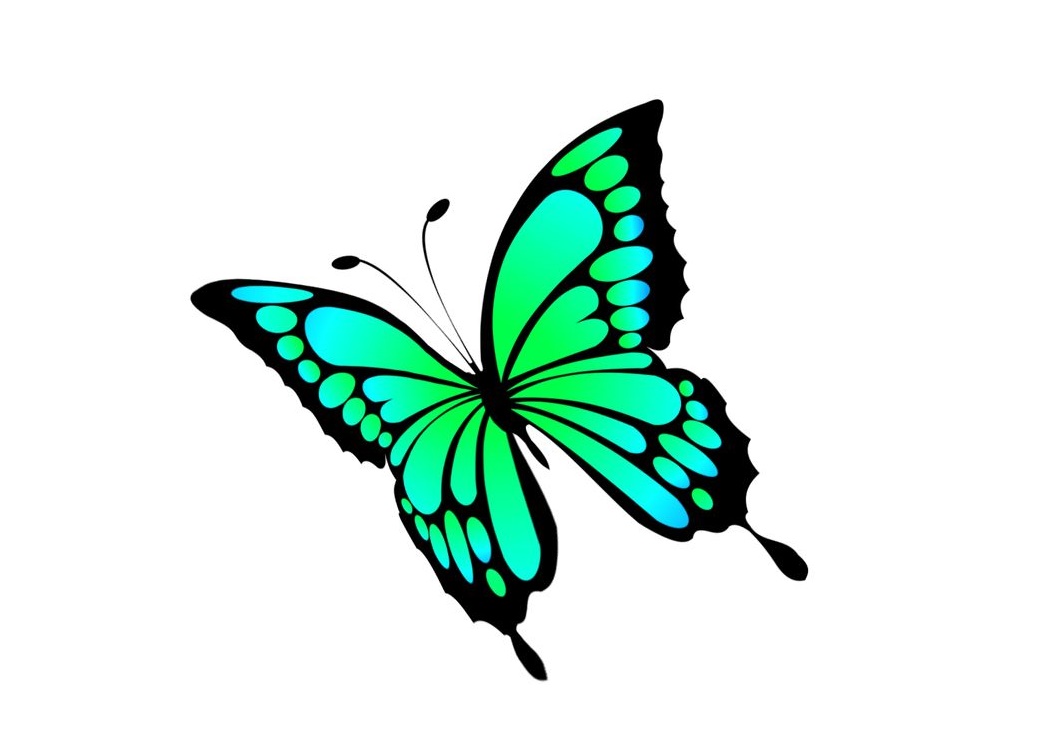 Beautiful Butterfly Coloring Page 4 butterfly free coloring image