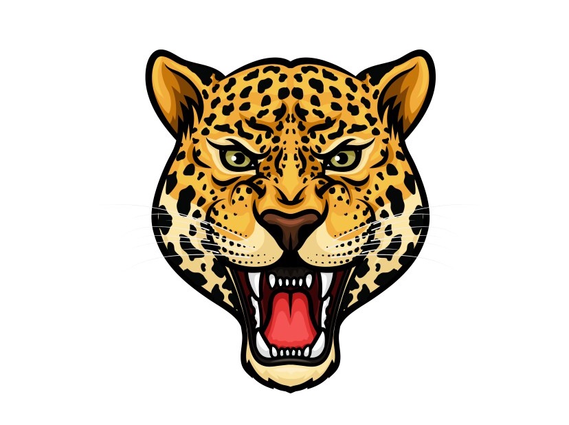 Cheetah Face Coloring Page 1 cheetah face coloring image