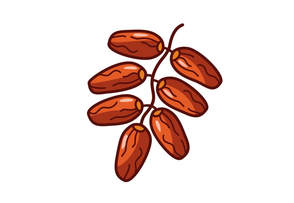 Date Fruit Coloring Page 1 date fruit coloring image