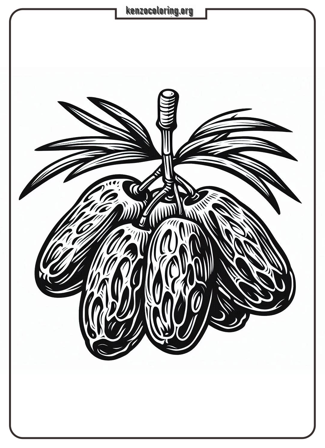 date fruit coloring online