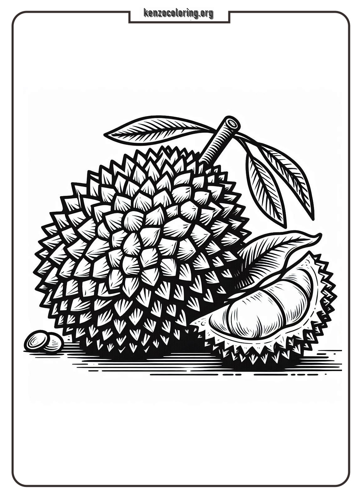 Unique Fruit with Strong Aroma, Durian Coloring Pages 1 durian coloring page online
