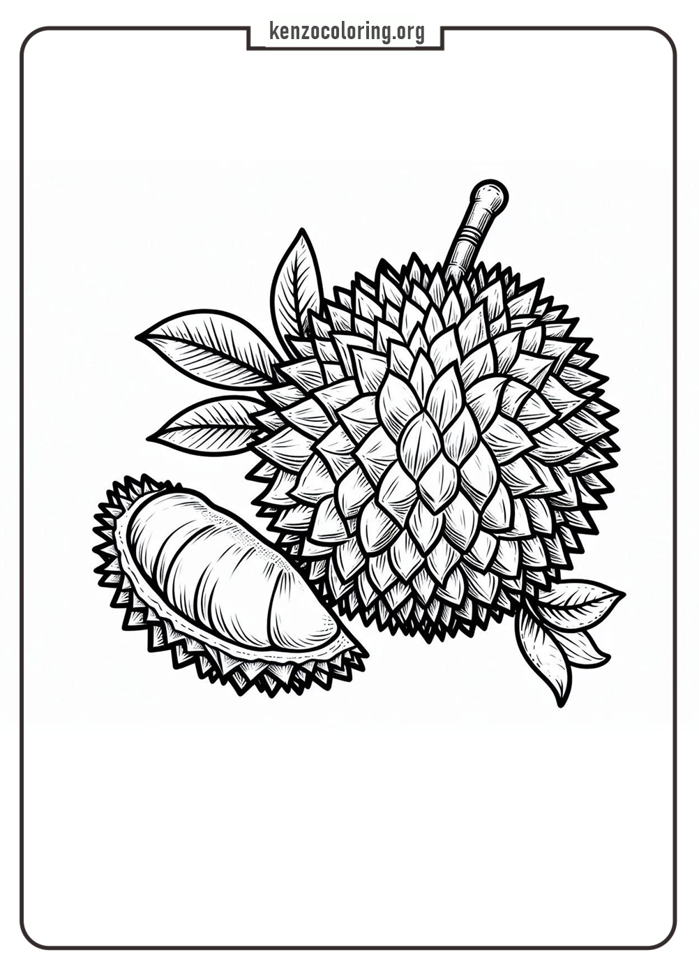 Unique Fruit with Strong Aroma, Durian Coloring Pages 2 durian coloring pages online