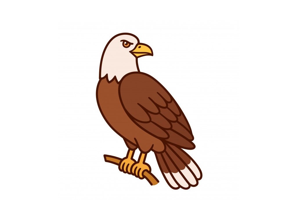 eagle coloring image