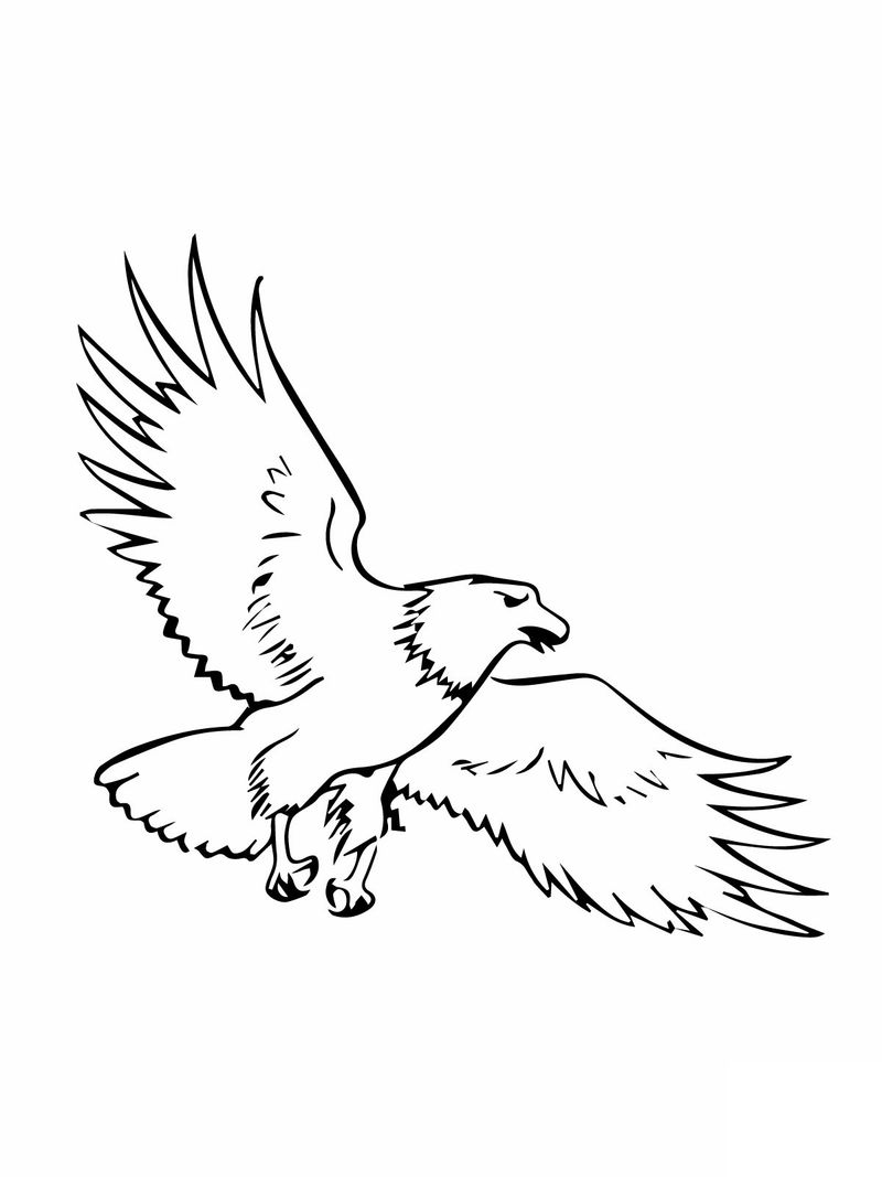 eagle fly coloring page