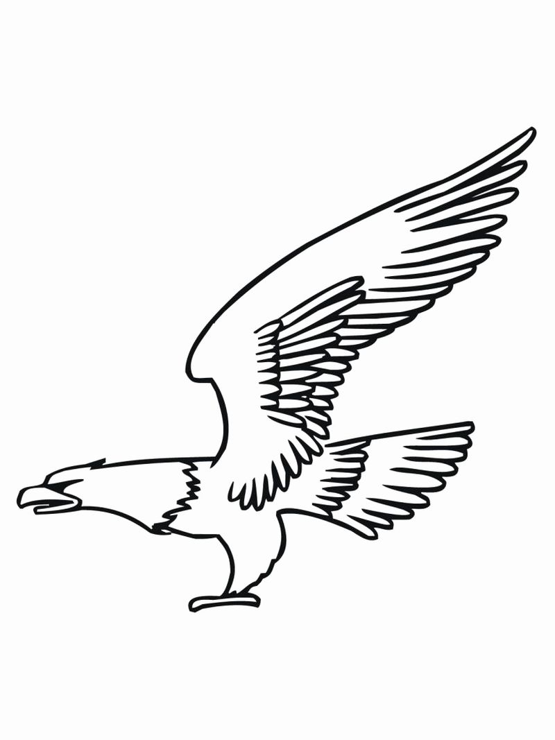 eagle fly coloring pages