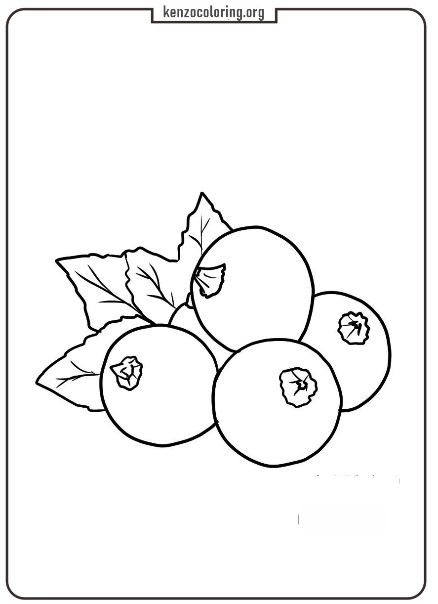 easy black currant coloring page for kids - kenzocoloring