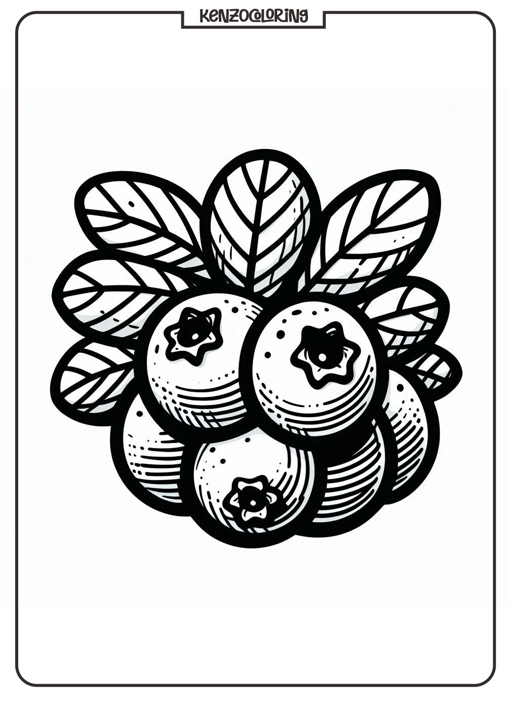 Blueberry Coloring Pages 2 easy blueberry coloring page online