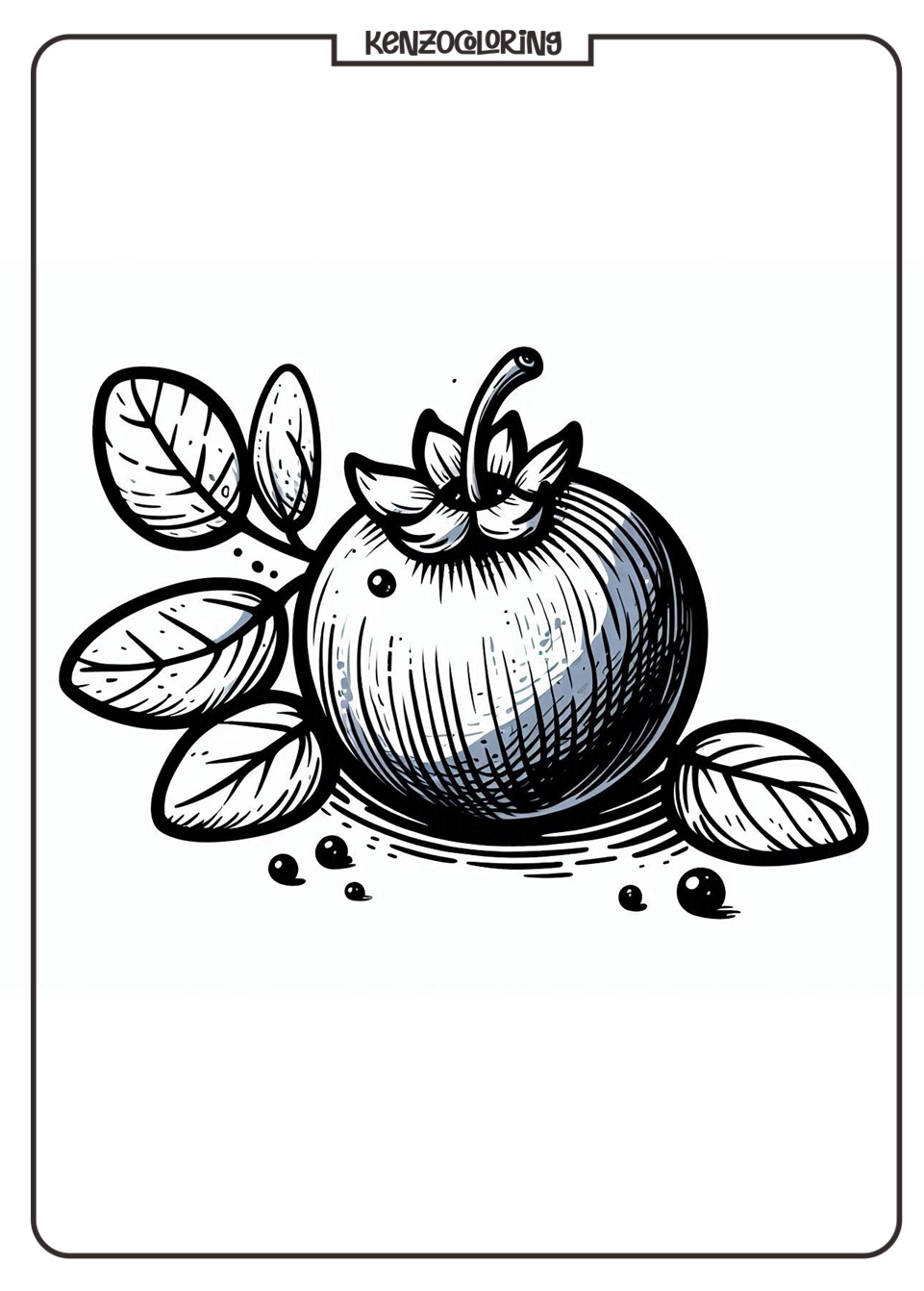 Blueberry Coloring Pages 3 easy blueberry coloring pages online