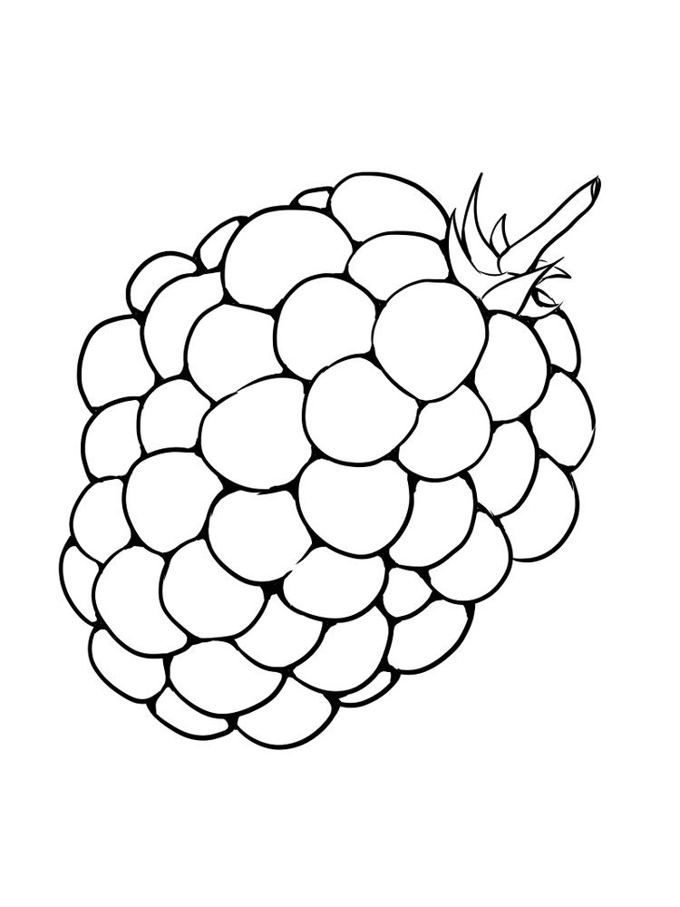 Marionberry Coloring Page 2 free marionberries coloring pict print