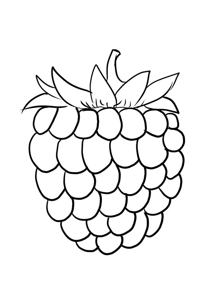 free raspberry coloring picture