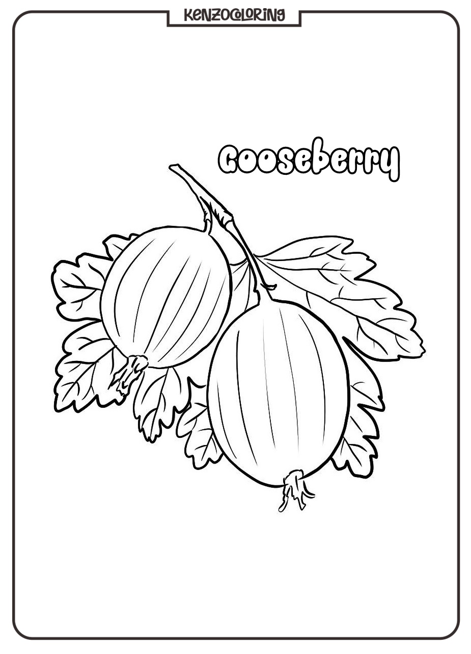 Gooseberry Coloring Page 3 gooseberry coloring page - kenzocoloring