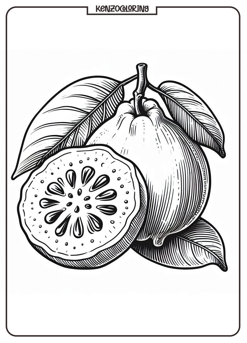 guava coloring page for kids