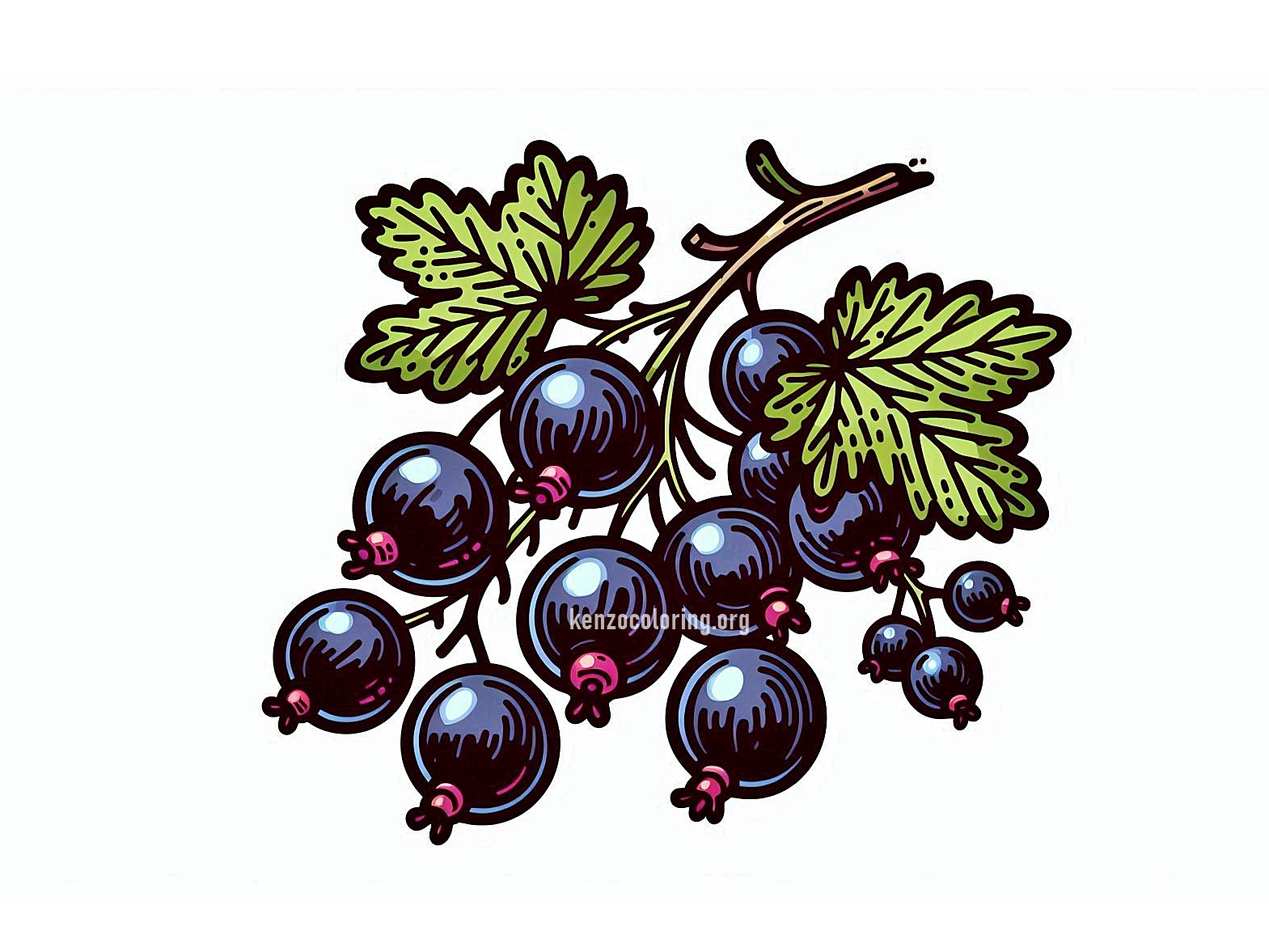 image a blackcurrant coloring