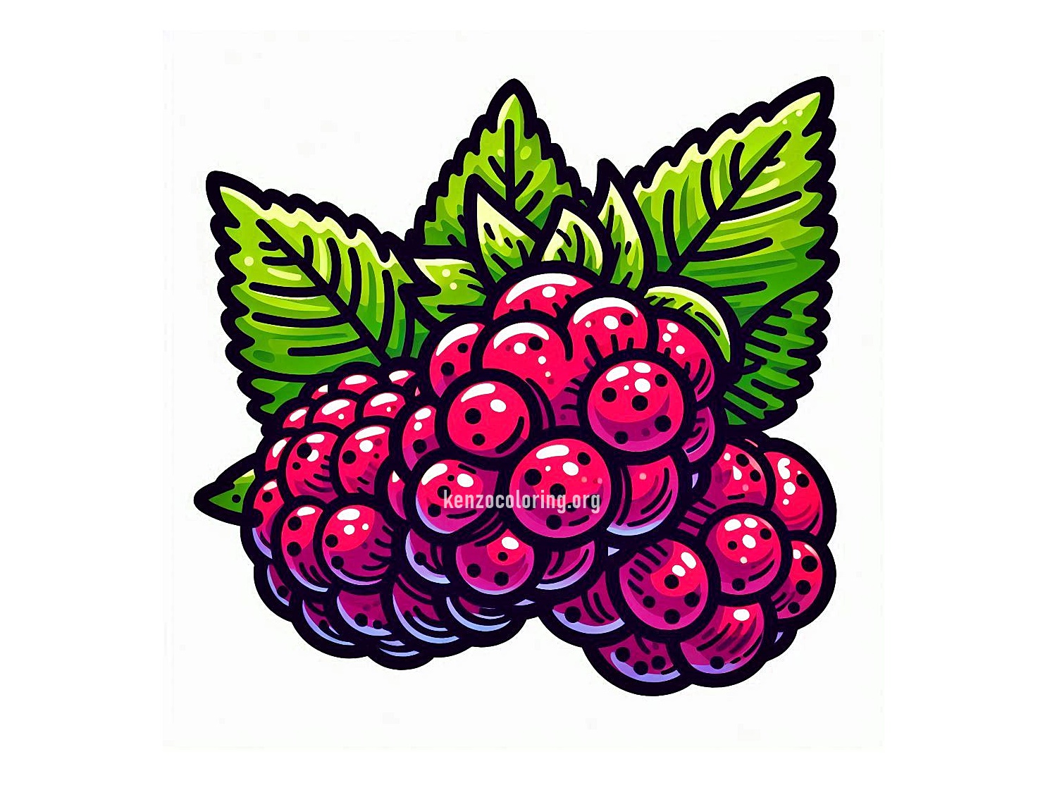 Boysenberry Coloring Pages 2 image a boysenberry coloring