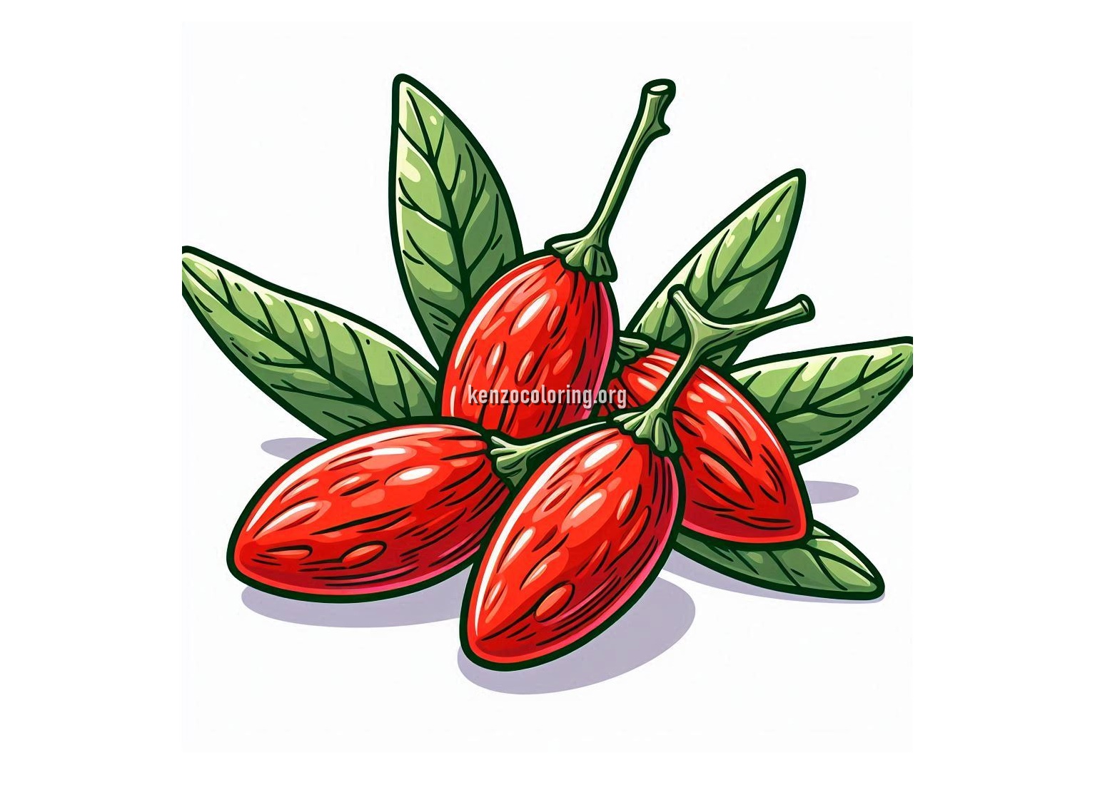 image a goji berry coloring