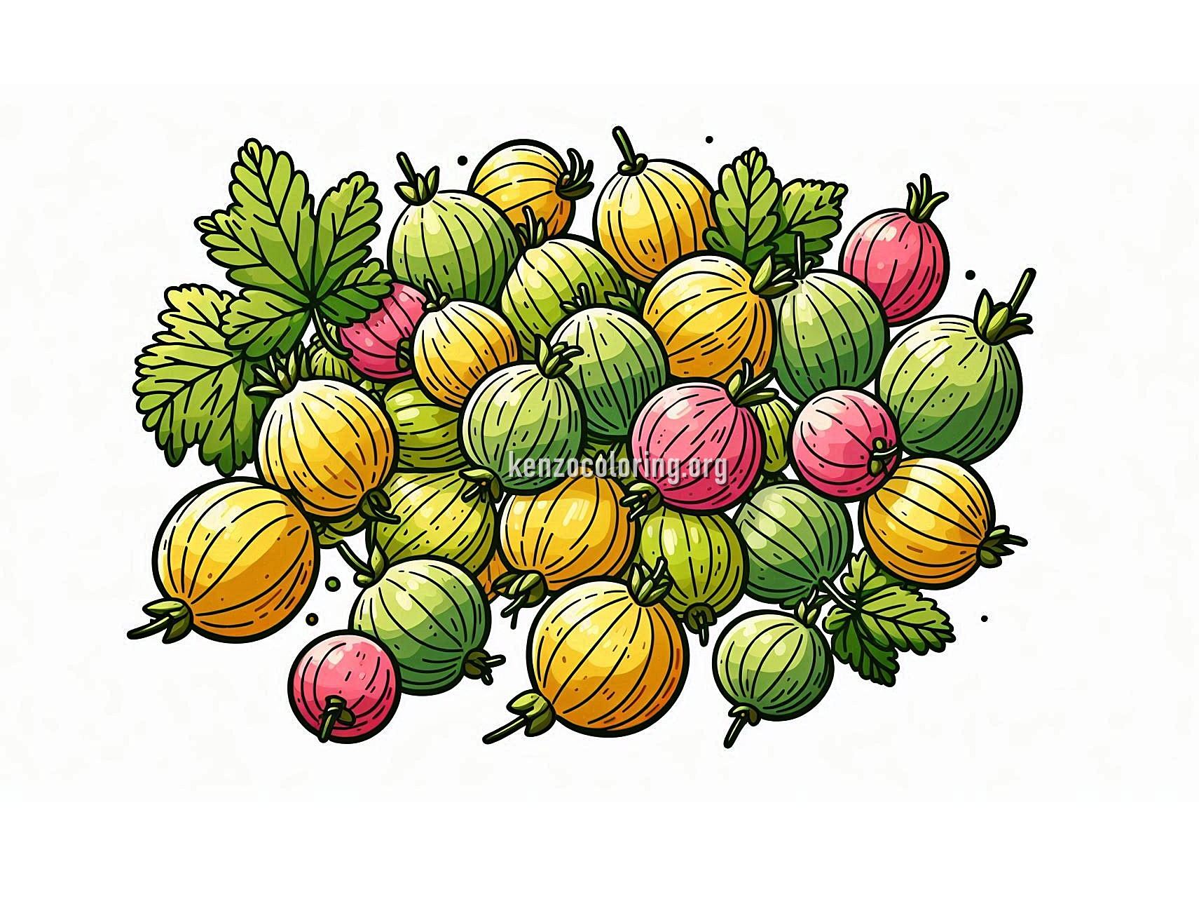 Gooseberry Coloring Page 2 image a gooseberry coloring