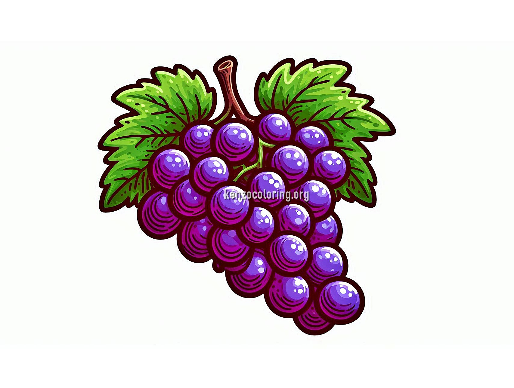 Favorite Fruit Grape Coloring Page 3 image a grape coloring