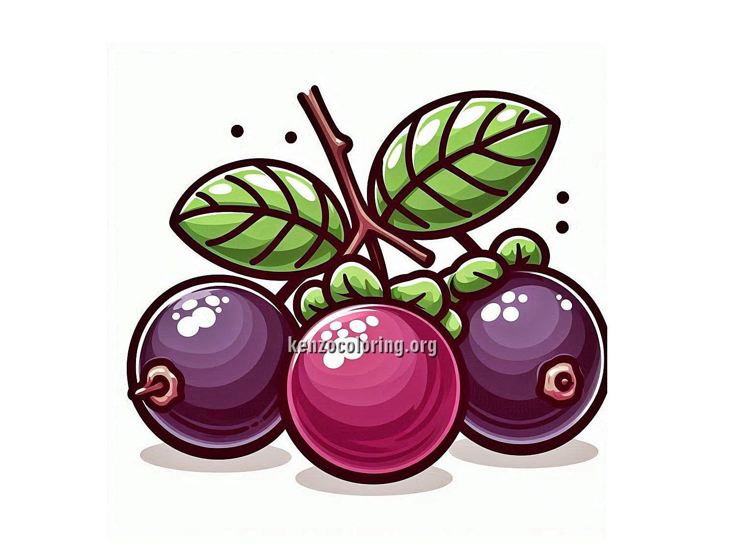 Unique Fruit Jaboticaba Coloring Page 5 image a jaboticaba fruit coloring