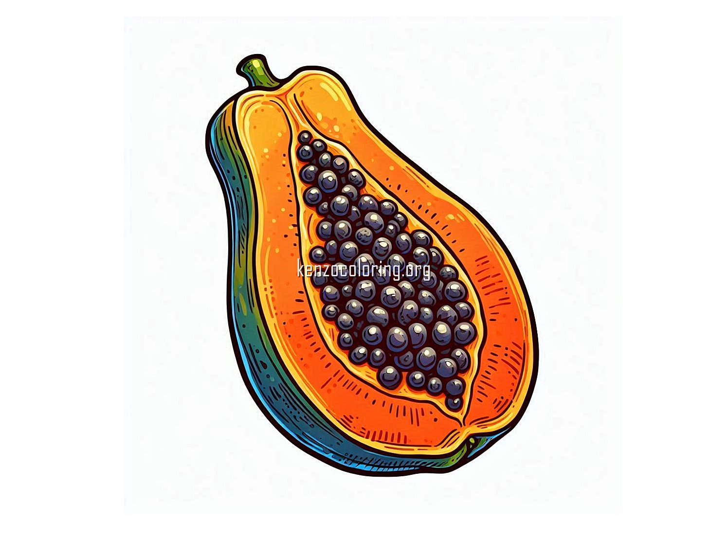 Nutritious Tropical Fruit, Papaya Coloring Page 4 image a papaya coloring