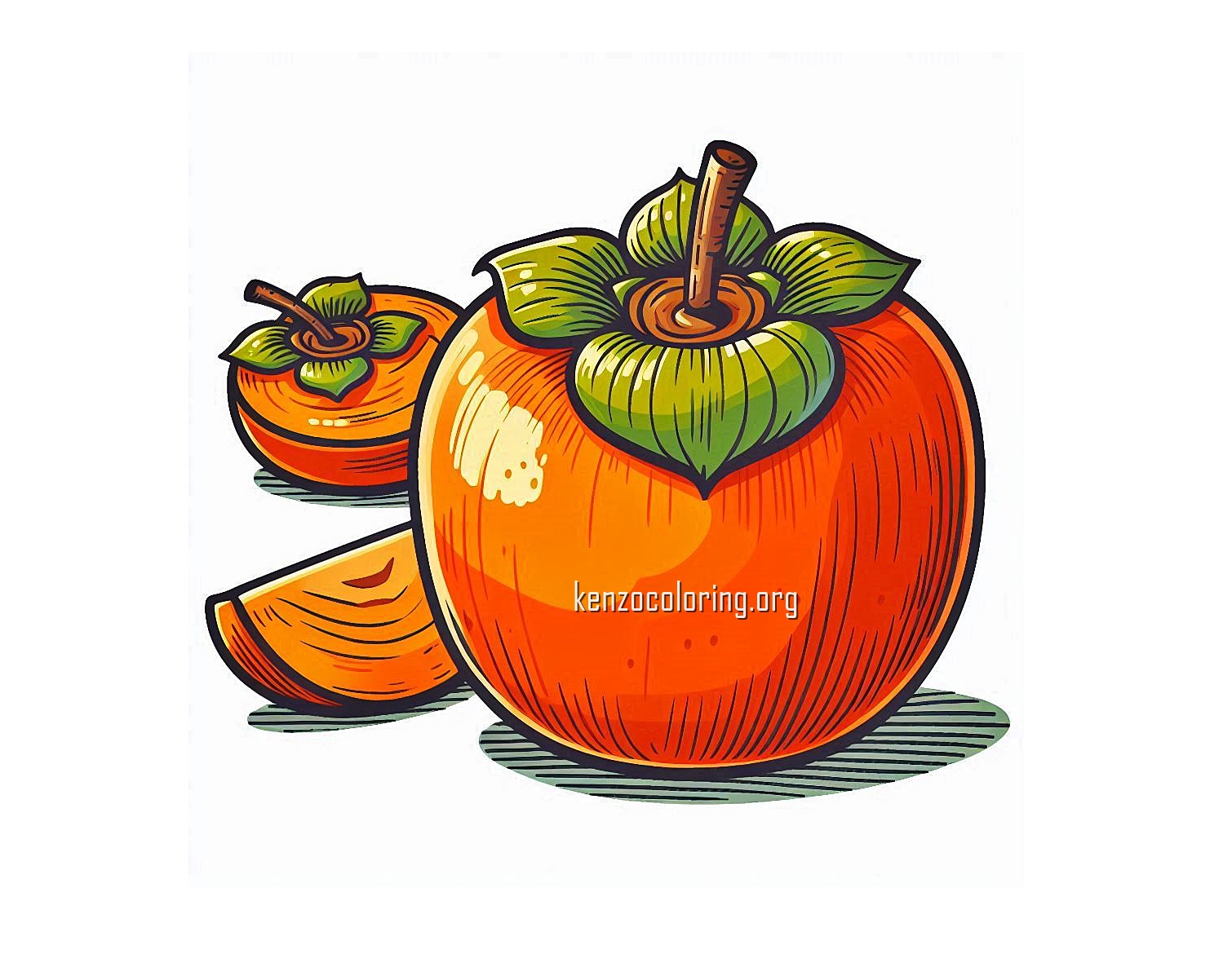 image a persimmon coloring