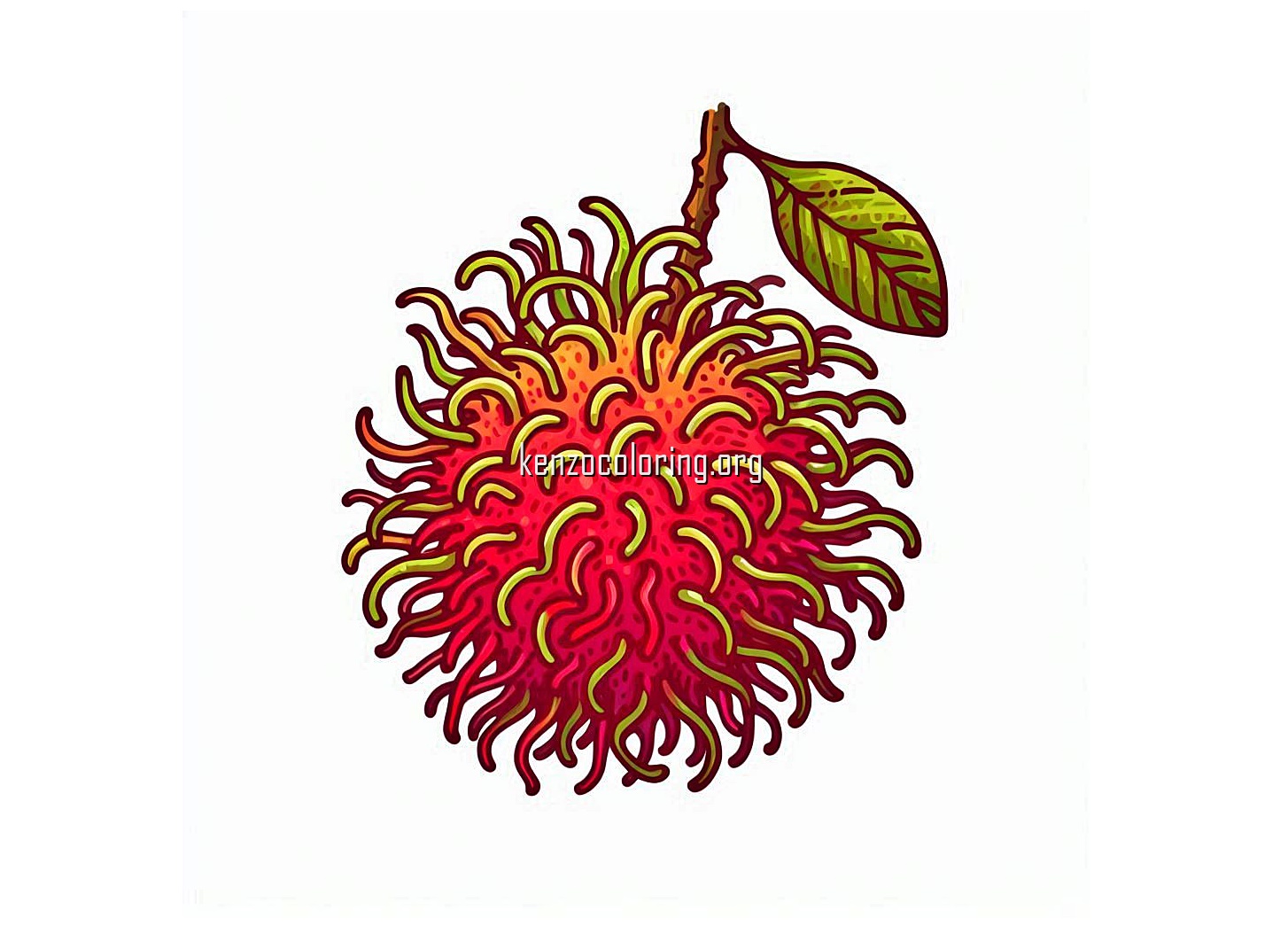Fresh Tropical Fruit, Rambutan Coloring Page 3 image a rambutan fruit coloring