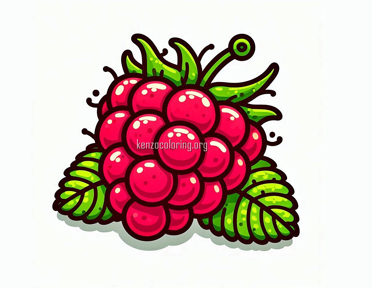 image a raspberry fruit coloring