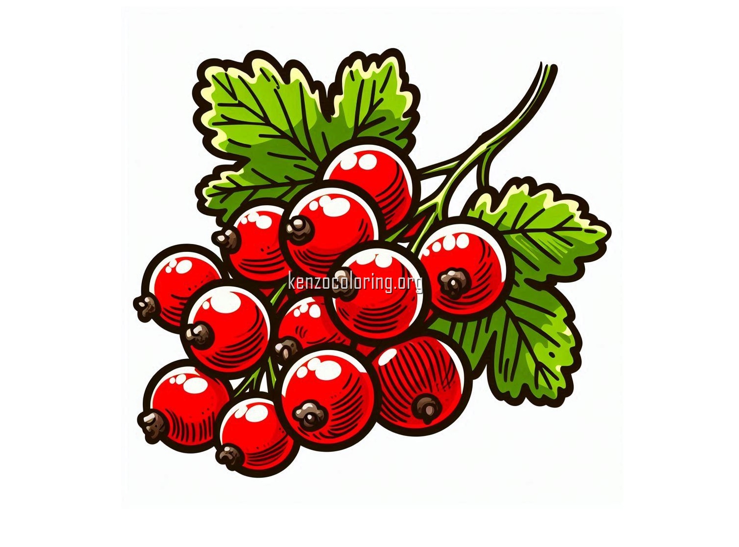 Red Currant Coloring Pages 3 image a redcurrant fruit coloring