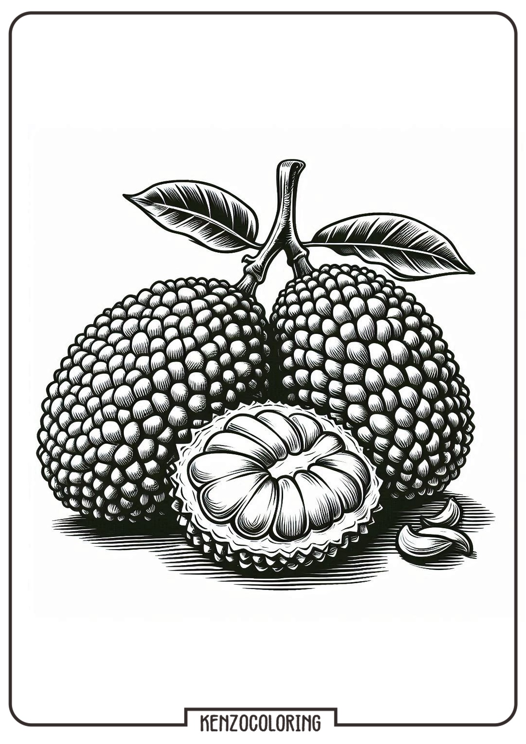 jackfruit coloring page online