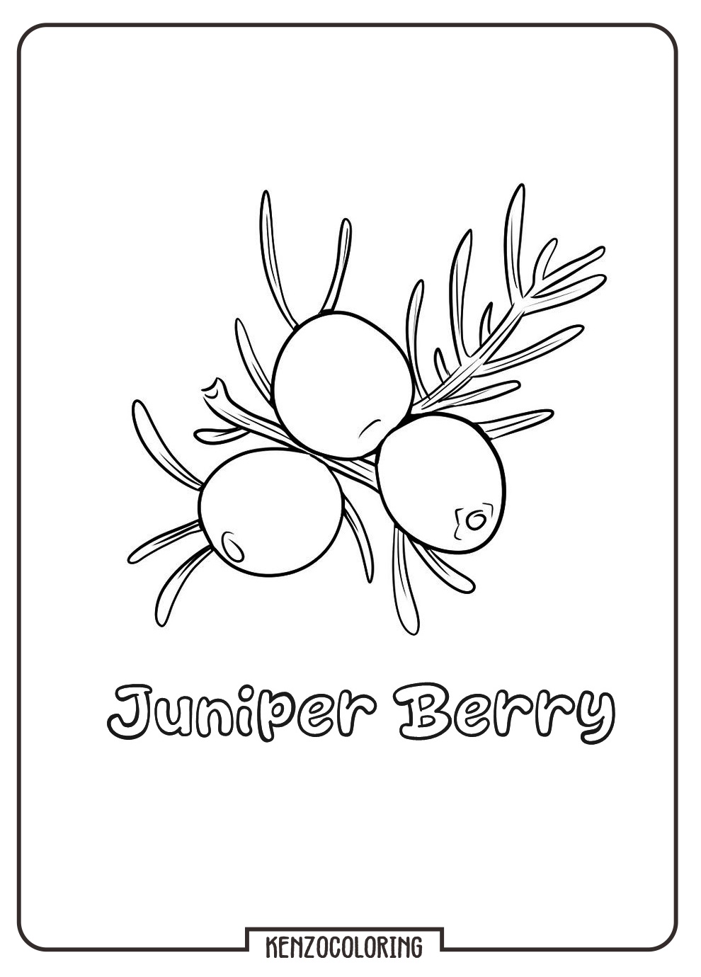 juniper berry coloring page online
