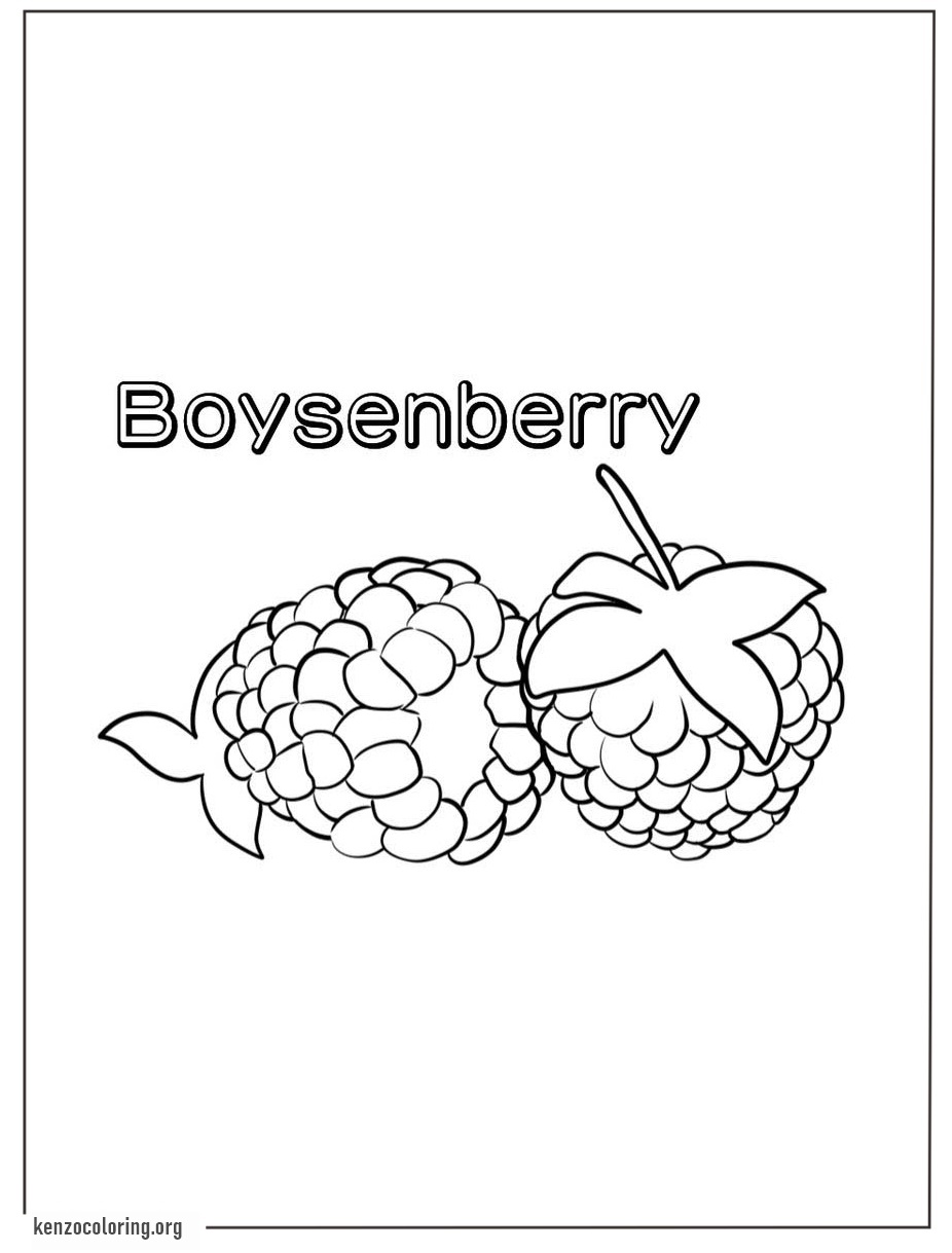 Boysenberry Coloring Pages 3 online boysenberry coloring page for kids
